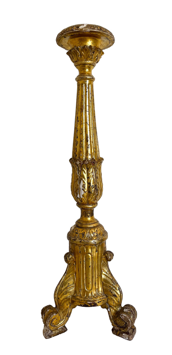 Louis XVI  Gilt Wood Candlestick