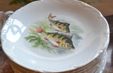 20 piece Porcelain Fish Set