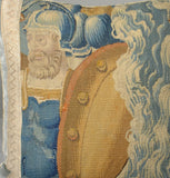 Tapestry  Pillow