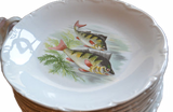 20 piece Porcelain Fish Set