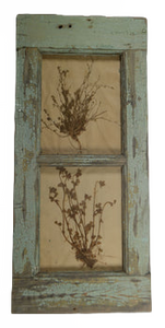 Herbiers Framed in Antique Window Frame