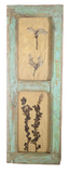 Herbiers Framed in Antique Window Frames