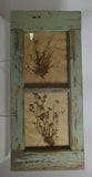 Herbiers Framed in Antique Window Frame