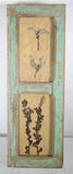 Herbiers Framed in Antique Window Frames