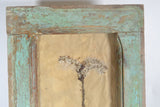 Herbiers Framed in Antique Window Frames